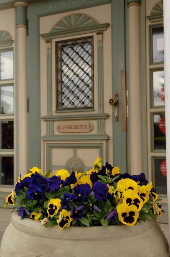 Apfelbluete Bed & Breakfast 8 Km Vom Bodensee Salem  Εξωτερικό φωτογραφία
