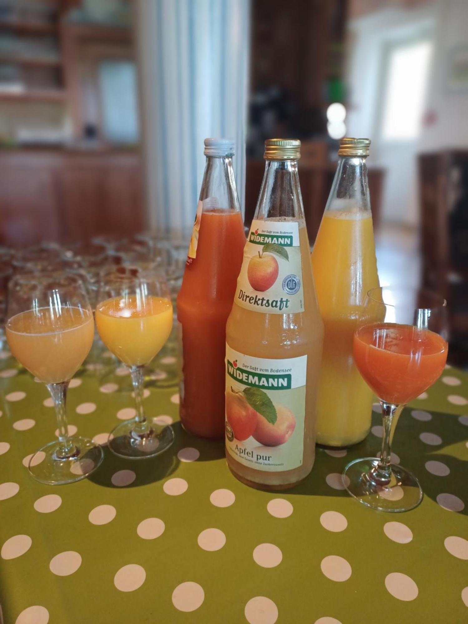 Apfelbluete Bed & Breakfast 8 Km Vom Bodensee Salem  Εξωτερικό φωτογραφία